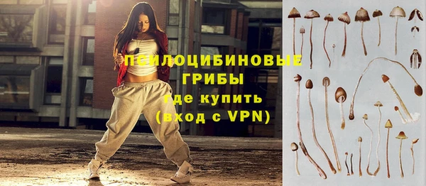 крисы Алексеевка