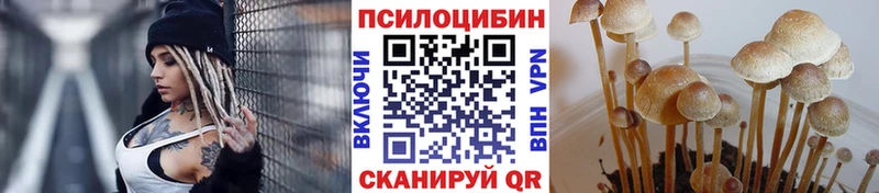 купить наркотик  Ирбит  Псилоцибиновые грибы Psilocybine cubensis 