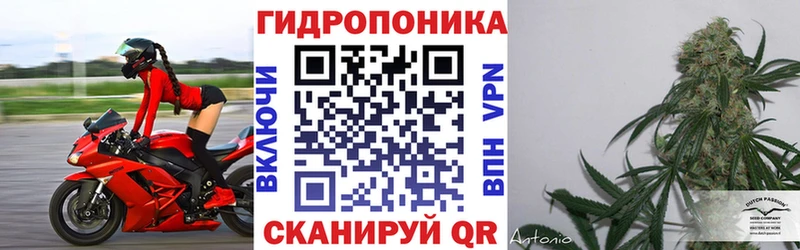 Каннабис Amnesia  Ирбит 